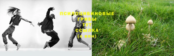 бутират Козловка