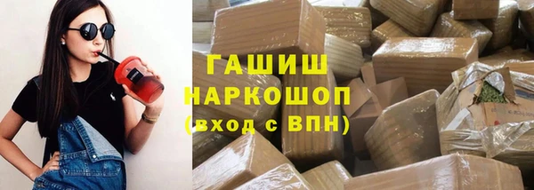 молекула духа Козельск