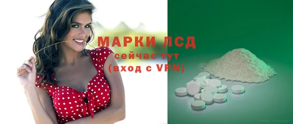 крисы Кодинск