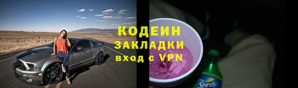 крисы Кодинск