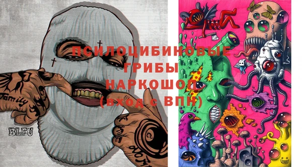 молекула духа Козельск