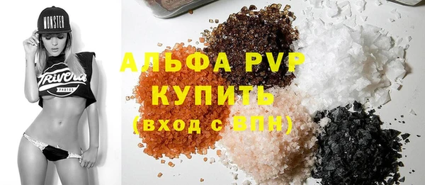 молекула духа Козельск