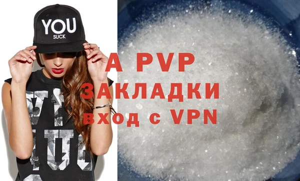 молекула духа Козельск