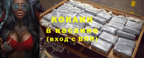 крисы Кодинск