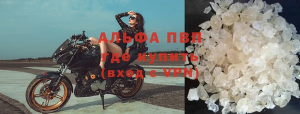 крисы Кодинск