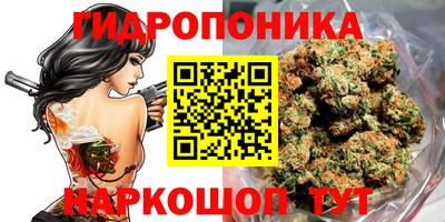 шишки Беслан