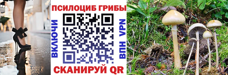 Псилоцибиновые грибы GOLDEN TEACHER  даркнет клад  Балашиха 