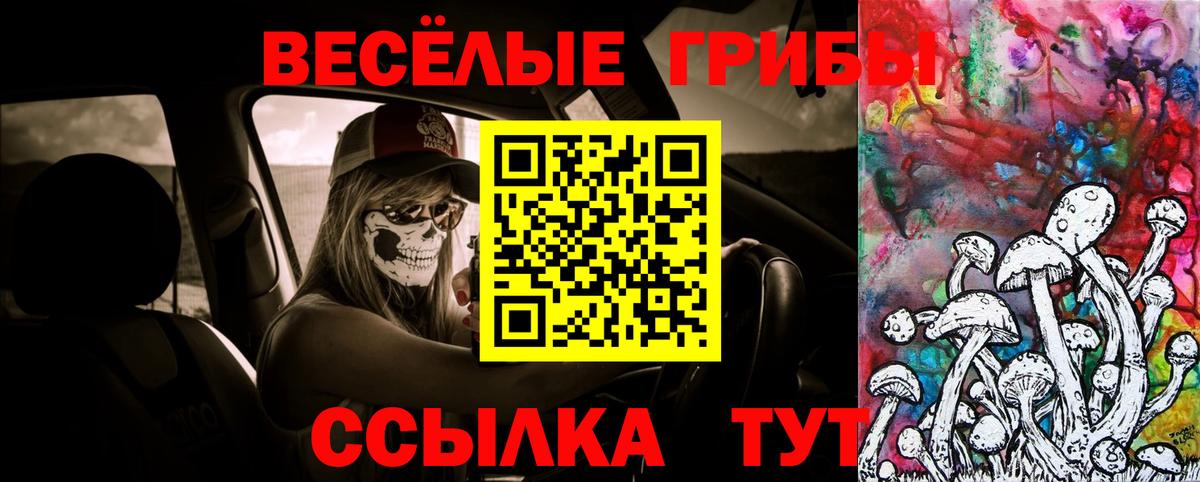 Псилоцибиновые грибы ЛСД Балашиха