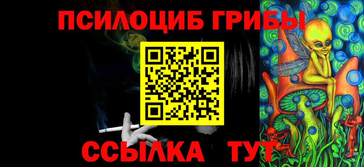 Балашиха  Галлюциногенные грибы Cubensis  Вход с VPN 